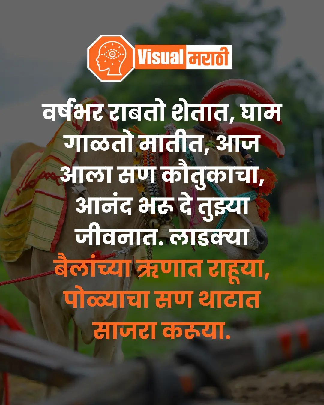 Bail Pola Wishes in Marathi