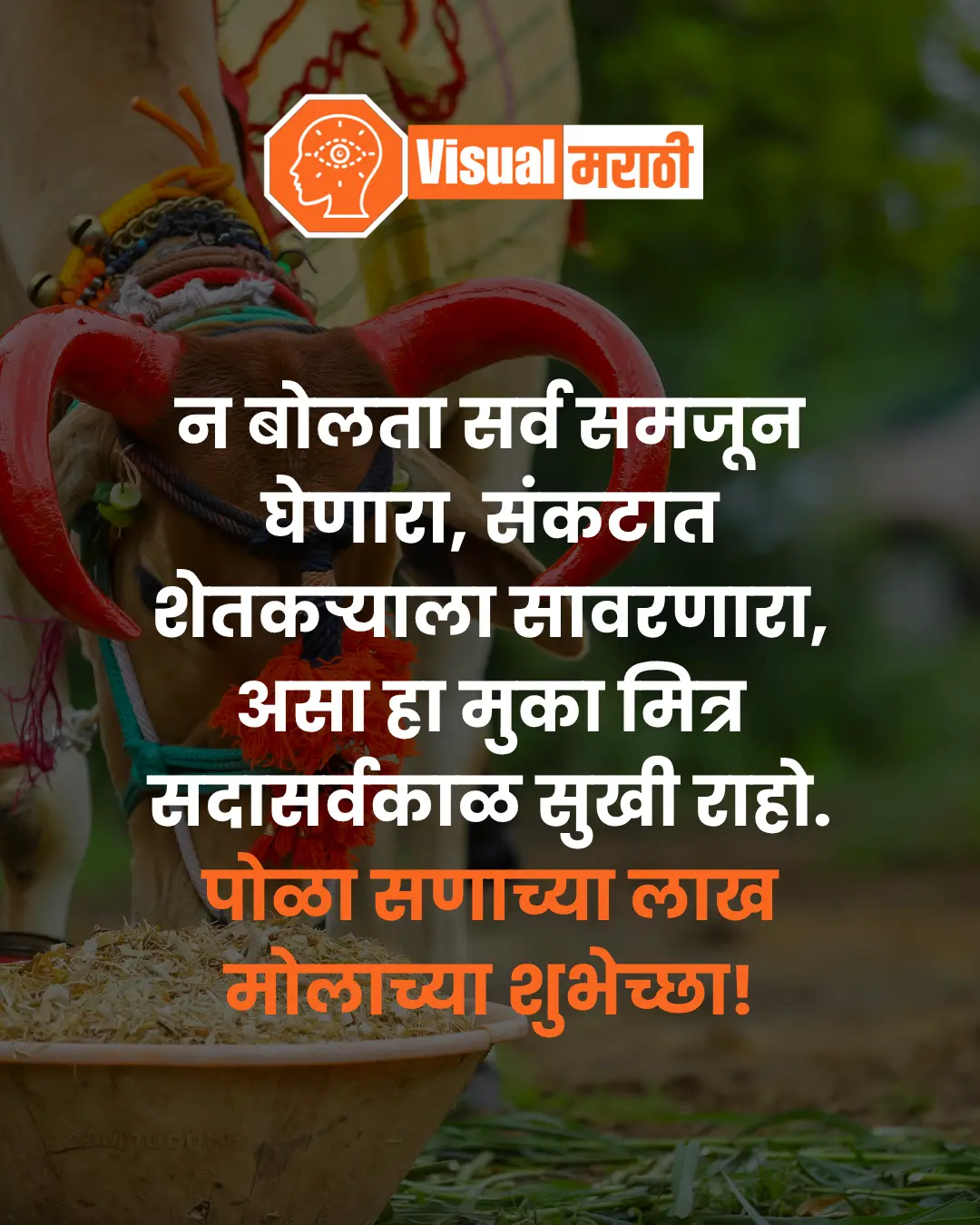 pola wishes