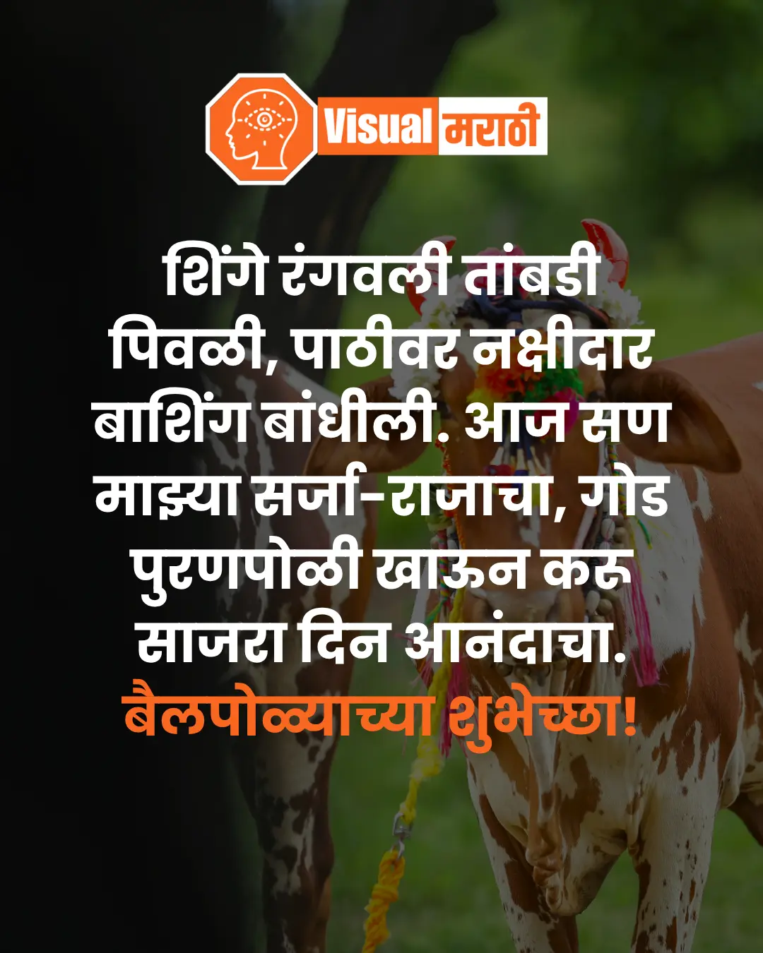 Bail Pola Wishes in Marathi