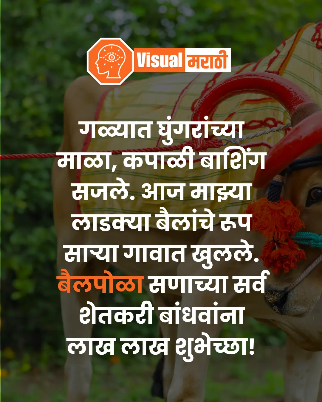 Bail Pola Wishes in Marathi