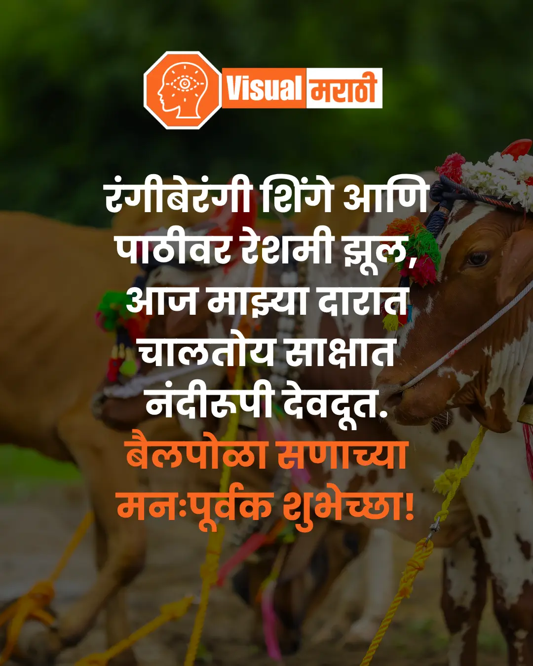 pola wishes in marathi